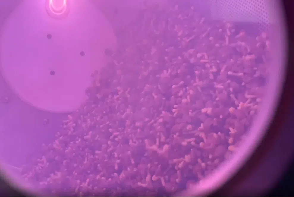 Plasma treatment machine for PA toys