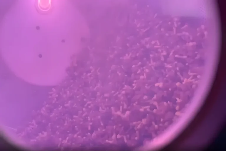 RD-10 Roller Plasma Cleaner for PA Toys Printing Featured Image