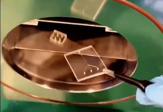 The Role of PDMS in Microfluidic Devices